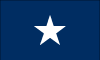 Bonnie Blue Historic U.S. Printable Flag Picture